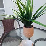 Eva's Apartament