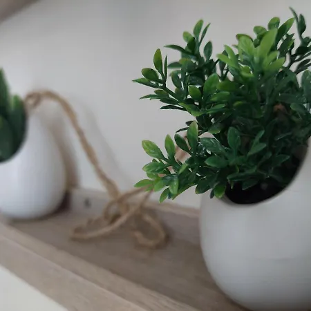 Eva's * Karystos (Evia)